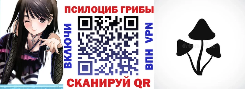 Псилоцибиновые грибы прущие грибы  Купить где  Мамоново 